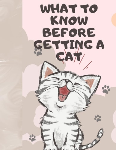 What to Know Before Getting a Cat Cat Pet