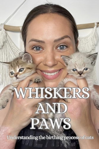 Whiskers and Paws Understanding the Birthing Process of Cats