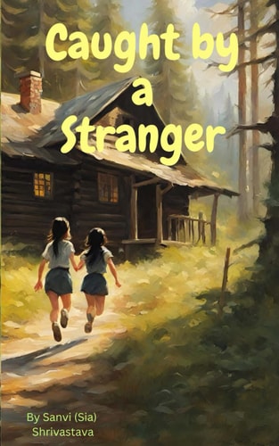 Caught by a Stranger A Dangerous Quest of Finding Home