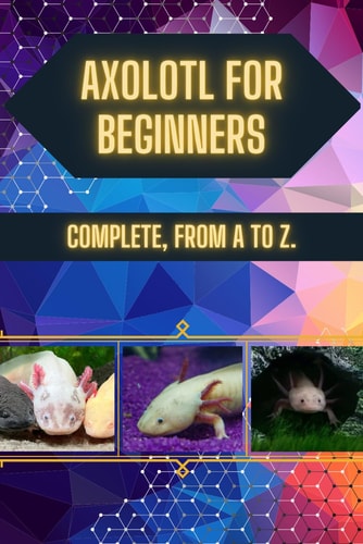 Axolotl for Beginners Cute, But Not for Everyone: Before You Let Him in the House, Read this Guide.