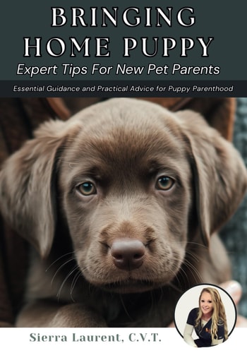 Bringing Home Puppy Expert Tips for New Pet Parents: Essential Guidance and Practical Advice for Puppy Parenthood