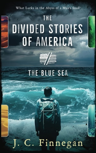 The Divided Stories of America The Blue Sea