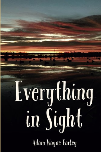 Everything in Sight