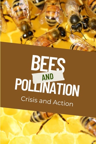 Bees and Pollination Crisis and Action