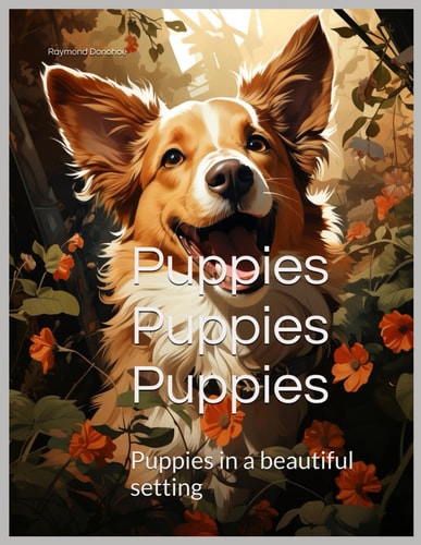 Puppies Puppies Puppies Puppies in a Beautiful Setting