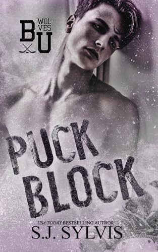 Puck Block A Brother's Best Friend Hockey Romance