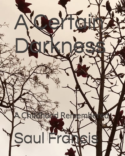 A Certain Darkness A Childhood Remembered