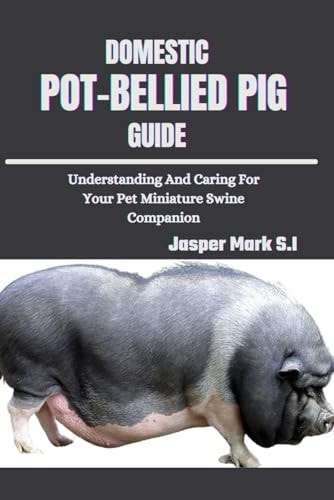 Domestic Pot-Bellied Pig Guide Understanding And Caring For Your Pet Miniature Swine Companion