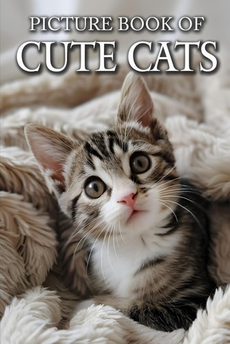 Cute Cats Picture Books For Adults With Dementia And Alzheimers Patients - Colourful Photos Of Kitten and Cat