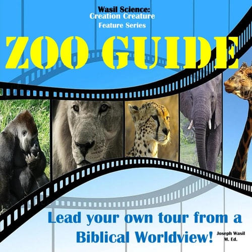 Wasil Science Zoo Guide