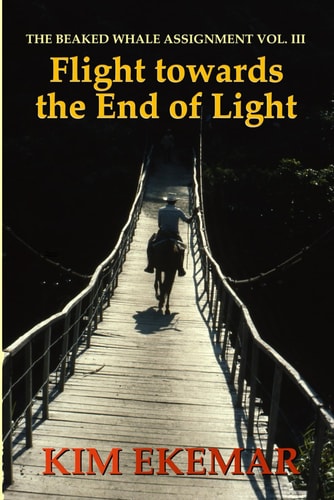 Flight Towards the End of Light