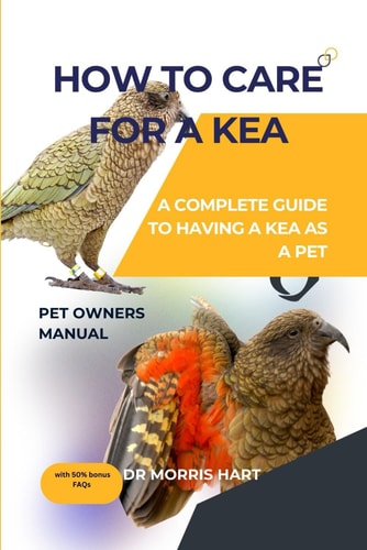 How to Care for a Kea A Complete Guide to Having a Kea as a Pet