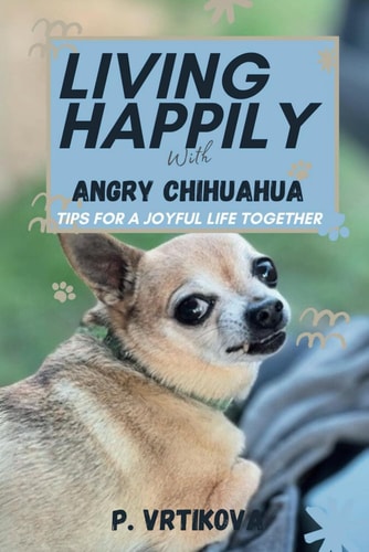Living Happily with Angry Chihuahua Tips for a Joyful Life Together