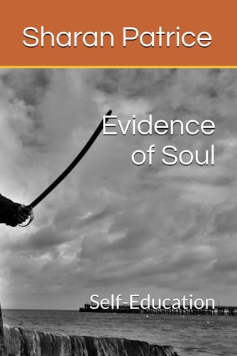Evidence of Soul Self-Education