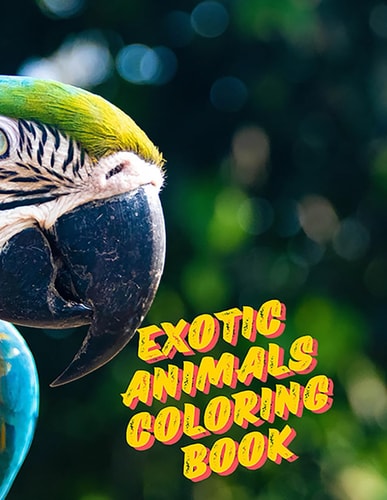 Exotic Animals Coloring Book Have Fun Coloring Animal Life