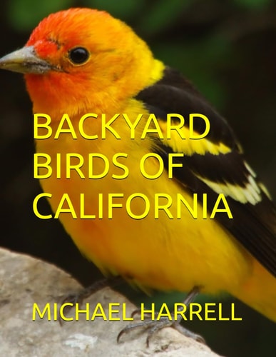 Backyard Birds of California