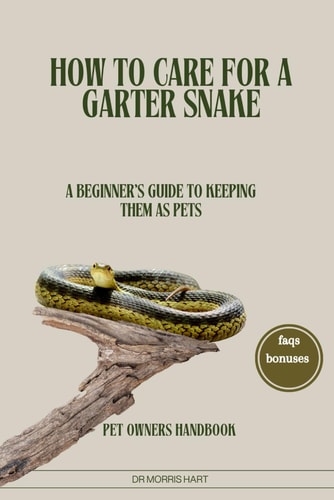 How to Care for a Garter Snake A Beginner's Guide to Keeping Them as Pets