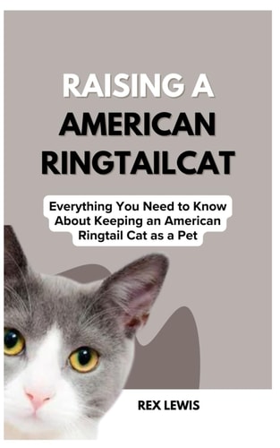 Raising a American Ringtail Cat Everything You Need to Know About Keeping an American Ringtail Cat as a Pet