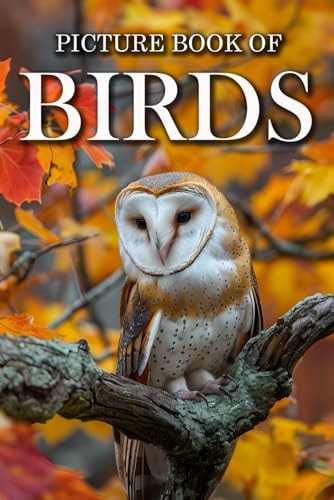 Birds Picture Books For Adults With Dementia And Alzheimers Patients - Colourful Photos Of Birds With Their Names