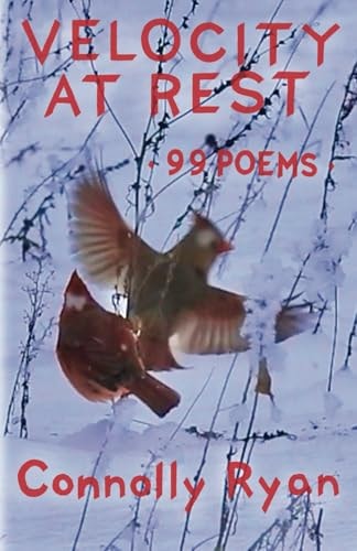 Velocity at Rest 99 Poems