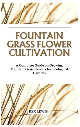Fountain Grass Flower Cultivation A Complete Guide on Growing Fountain Grass Flowers for Ecological Gardens
