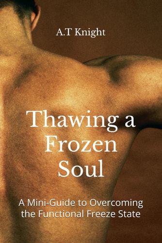 Thawing a Frozen Soul A Mini-Guide to Overcoming the Functional Freeze State
