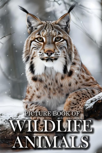 Wildlife Animals Picture Books For Adults With Dementia And Alzheimers Patients - Beautiful Photos Of Wild Scenes with Animals