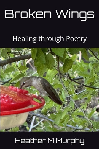Broken Wings Healing Through Poetry