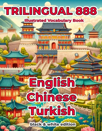 Trilingual 888 English Chinese Turkish Illustrated Vocabulary Book Help Your Child Become Multilingual with Efficiency