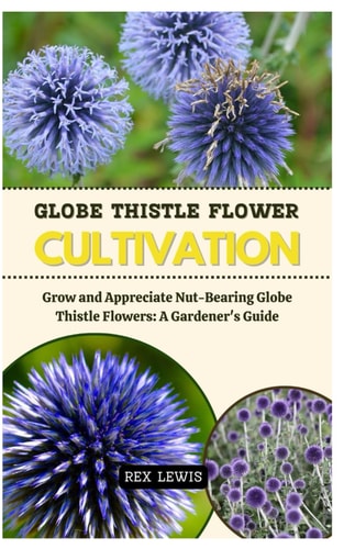 Globe Thistle Flower Cultivation Grow and Appreciate Nut-Bearing Globe Thistle Flowers: A Gardener's Guide