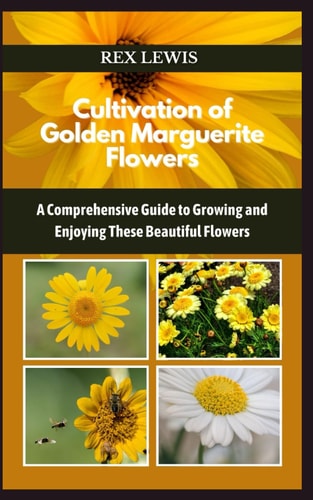 Cultivation of Golden Marguerite Flowers A Comprehensive Guide to Growing and Enjoying These Beautiful Flowers