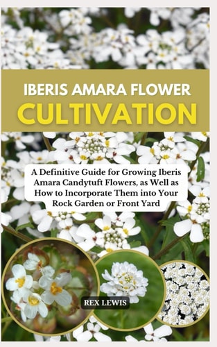 Iberis Amara Flower Cultivation A Definitive Guide for Growing Iberis Amara Candytuft Flowers, as Well as How to Incorporate Them Into Your Rock Garden Or Front Yard