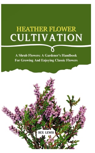 HEATHER FLOWER CULTIVATION A Shrub Flowers