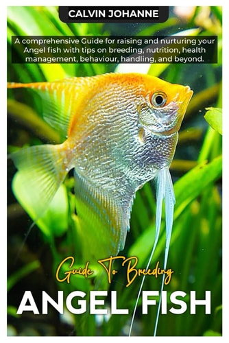 Angel Fish A Comprehensive Guide for Raising and Nurturing Your Angel Fish with Tips on Breeding, Nutrition, Health Management, Behaviour, Handling, and Beyond
