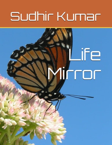 LIFE MIRROR.