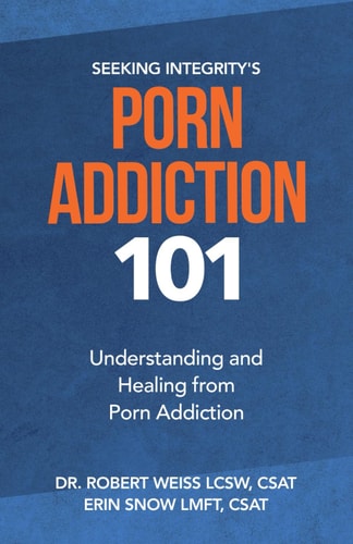 Porn Addiction 101 Understanding and Healing from Porn Addiction