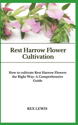 Rest Harrow Flower Cultivation How to Cultivate Rest Harrow Flowers the Right Way: A Comprehensive Guide