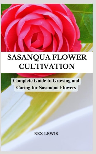 Sasanqua Flower Cultivation Complete Guide to Growing and Caring for Sasanqua Flowers