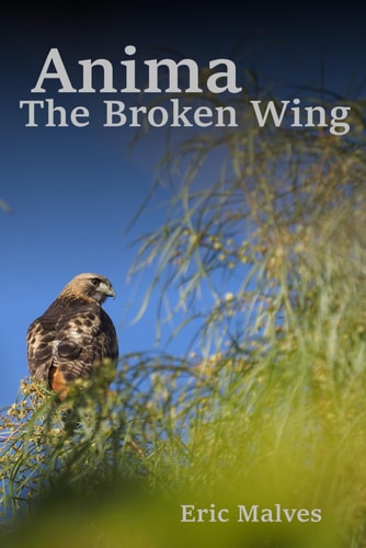 Anima The Broken Wing