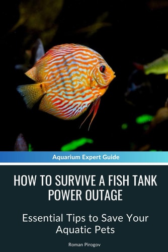 How to Survive a Fish Tank Power Outage Essential Tips to Save Your Aquatic Pets