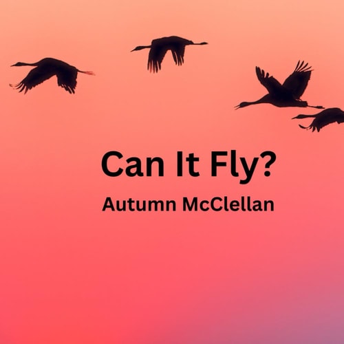 Can It Fly?
