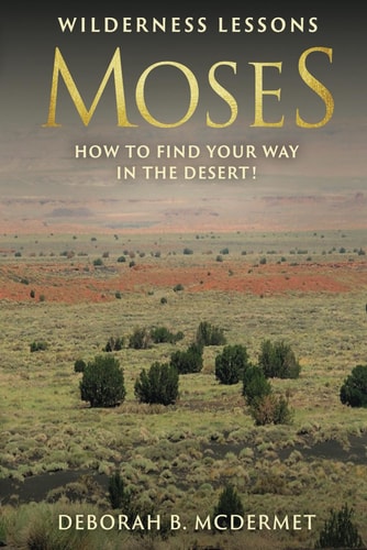Moses Wilderness Lessons (How to Find Your Way in the Desert!