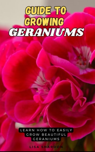 Guide to Growing Geraniums Learn how to Easily Grow Beautiful Geraniums