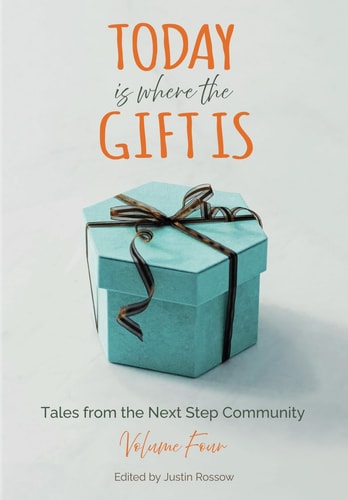Today Is Where The Gift Is Tales from the Next Step Community, Volume 4