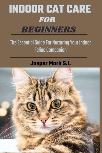 Indoor Cat Care for Beginners The Essential Guide For Nurturing Your Indoor Feline Companion