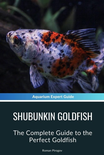 Shubunkin Goldfish The Complete Guide to the Perfect Goldfish
