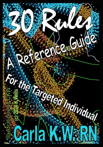 30 Rules A Reference Guide for the Targeted Individual