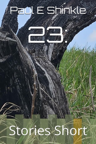 23 Stories Short