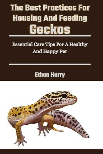 The Best Practices For Housing And Feeding Geckos Essential Care Tips For A Healthy And Happy Pet