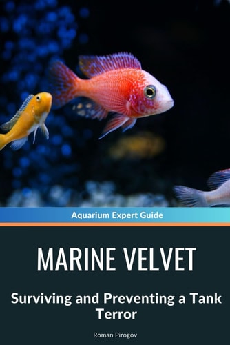 Marine Velvet Surviving and Preventing a Tank Terror